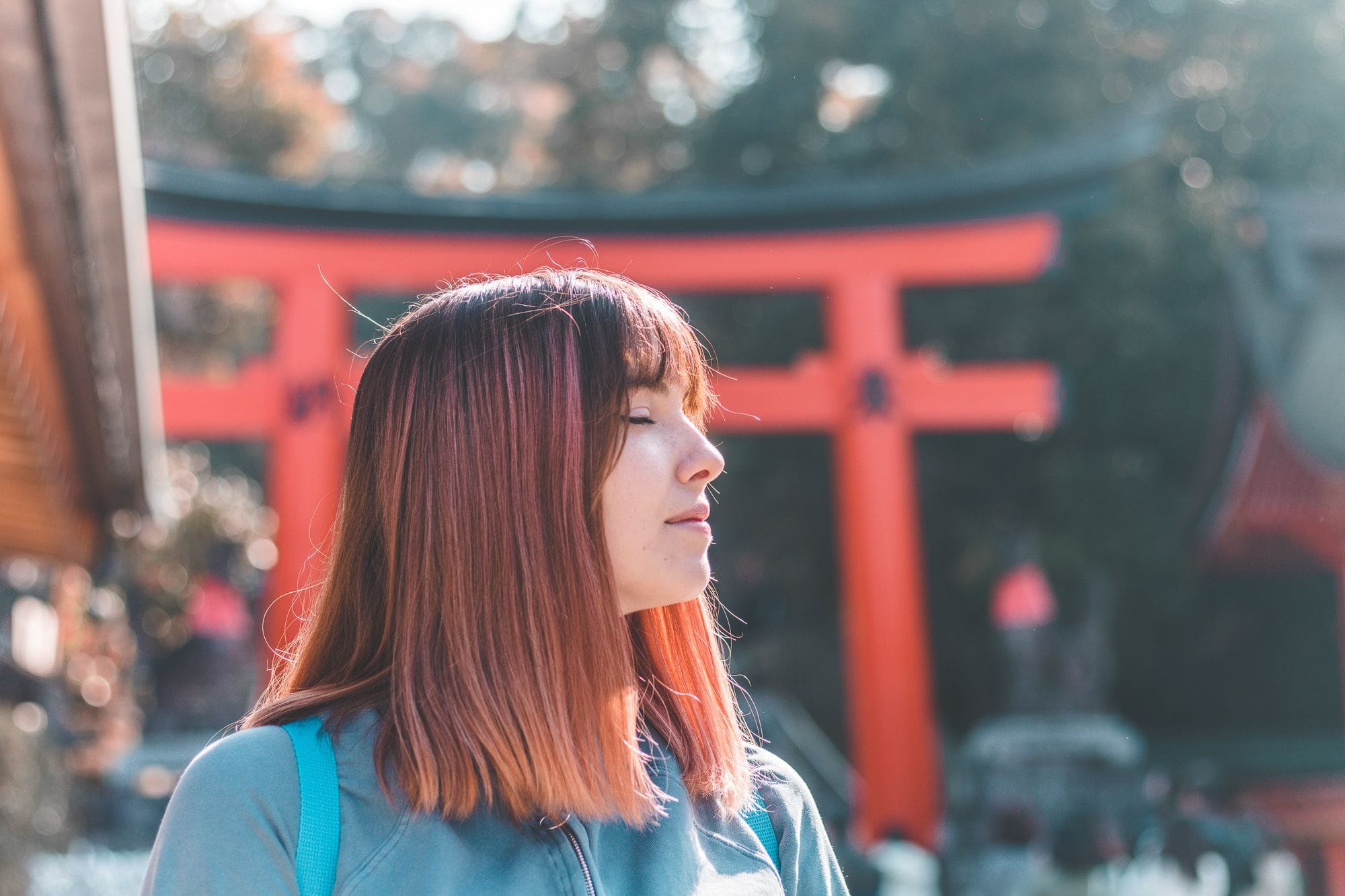 Torii gates at Fushimi Inari-taisha shrine in Kyoto, Japan